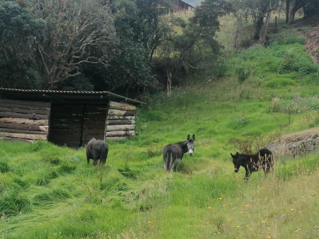 Finca en venta en Cundinamarca
