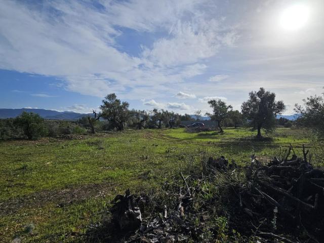 Chalet en venta en Ribera d'Ebre, Catalunya