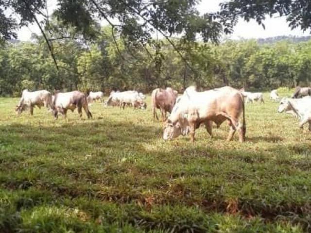 Terreno en venta en Tinaquillo, Cojedes