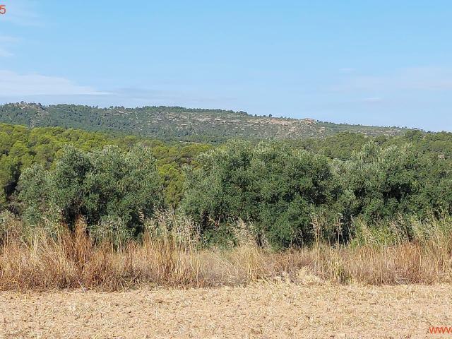 Finca en venta en Matarraña / Matarranya, Torre Del Compte
