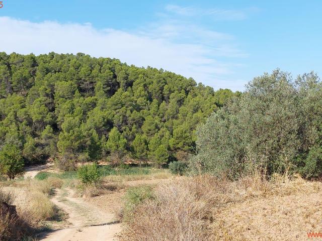 Finca en venta en Matarraña / Matarranya, Torre Del Compte