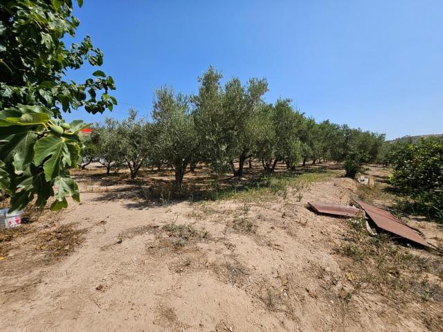 Finca en venta en Tortosa, Tarragona