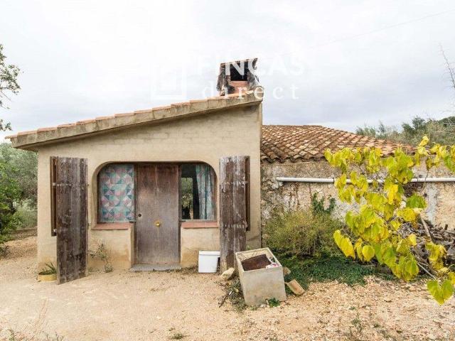 Finca en venta en Baix Ebre, Catalunya