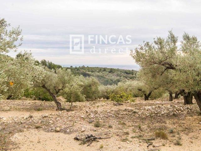 Finca en venta en Baix Ebre, Catalunya