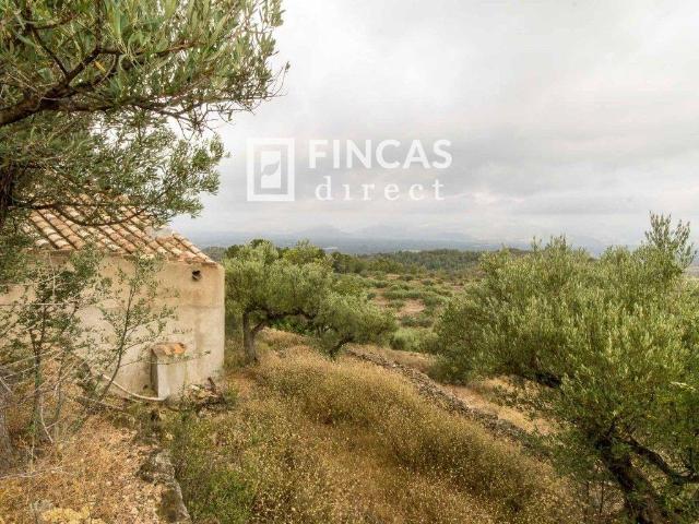Finca en venta en Tortosa, Bítem
