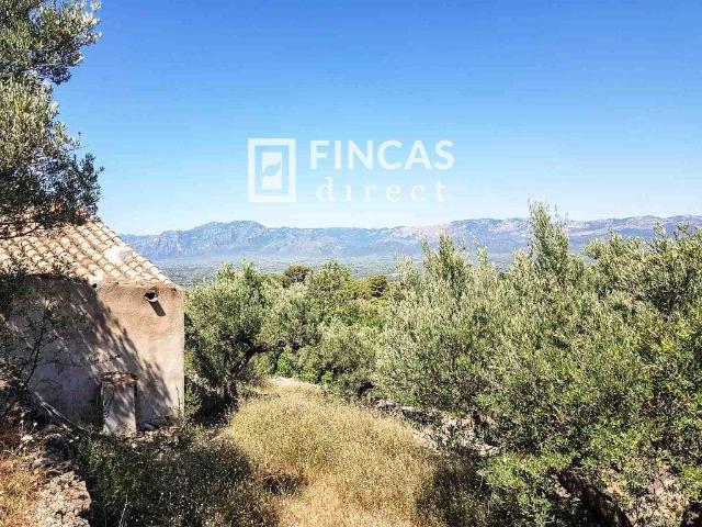 Finca en venta en Bítem, Baix Ebre