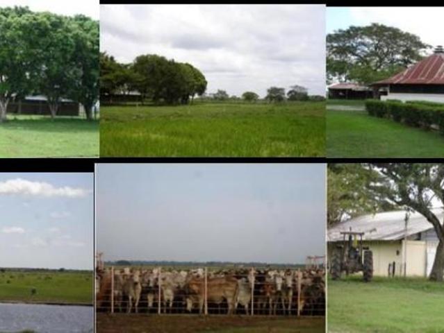 Terreno en venta en Totumito, Apure