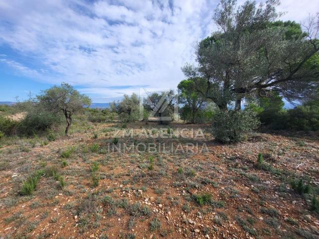 Terreno en venta en Traiguera