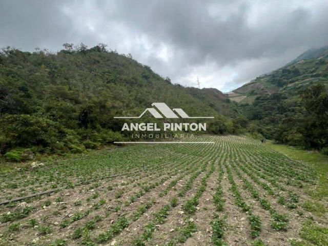 Terreno en venta en Trujillo