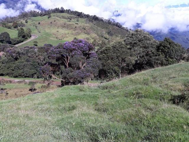 Finca en venta en Tuluá, Centro