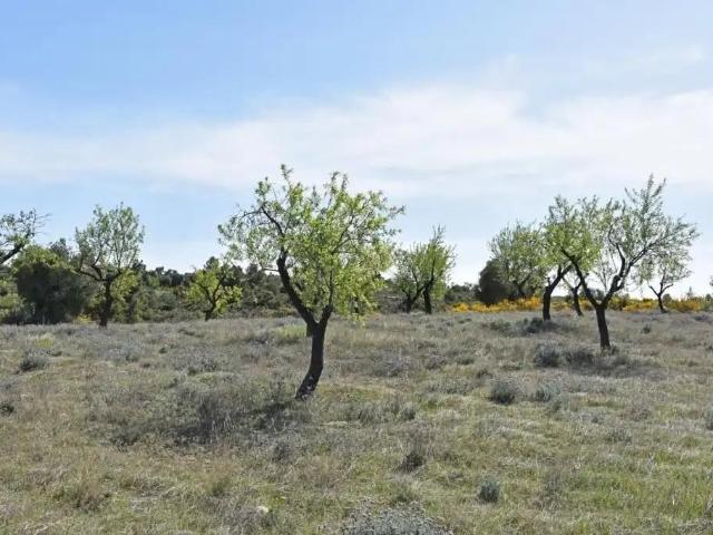 Finca en venta en Bajo Aragón, Aragón
