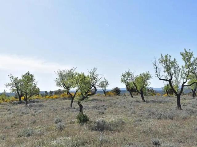 Finca en venta en Bajo Aragón, Aragón