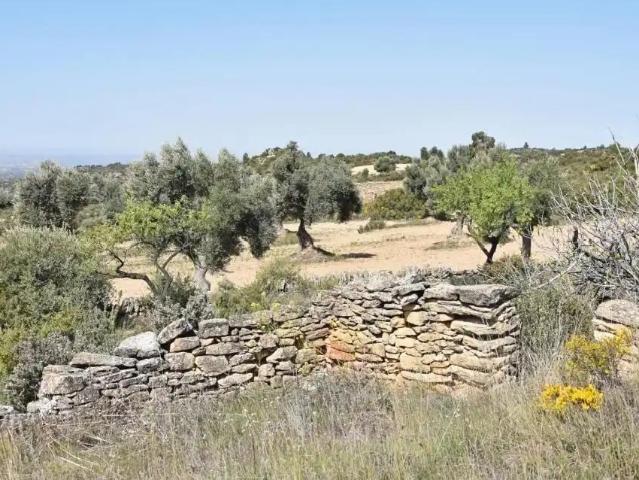 Finca en venta en Bajo Aragón, Aragón