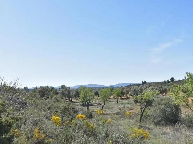 Finca en venta en Bajo Aragón, Aragón