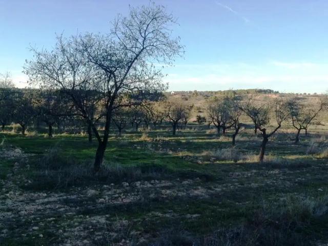 Finca en venta en Matarraña / Matarranya, Valderrobres