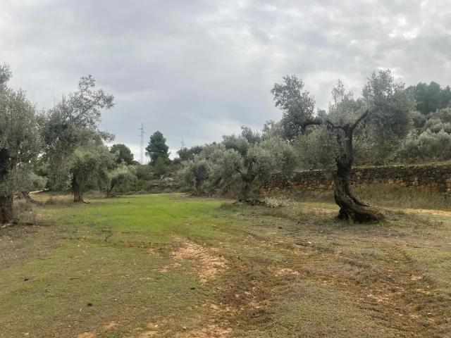 Finca en venta en Matarraña / Matarranya, Valderrobres