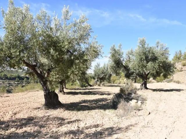 Finca en venta en Matarraña / Matarranya, Valderrobres