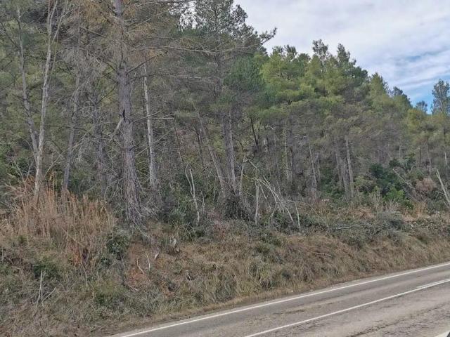 Finca en venta en Matarraña / Matarranya, Valderrobres