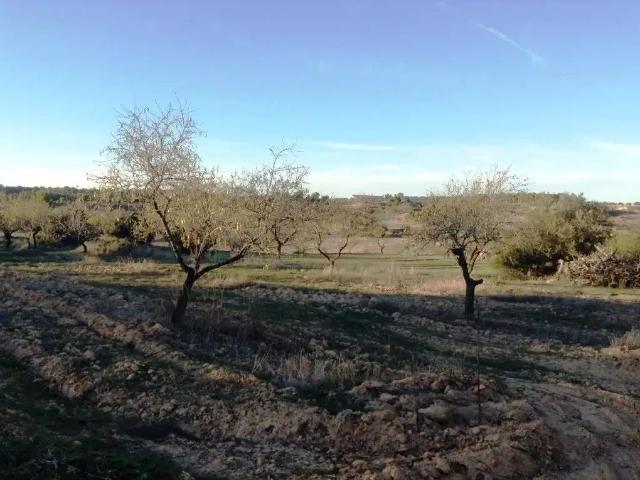 Finca en venta en Matarraña / Matarranya, Valderrobres