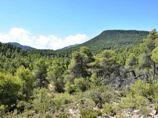 Finca en venta en Matarraña / Matarranya, Valderrobres