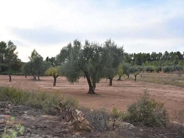 Finca en venta en Matarraña / Matarranya, Valderrobres