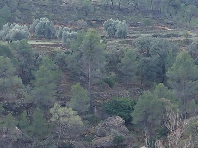Finca en venta en Matarraña / Matarranya, Valderrobres