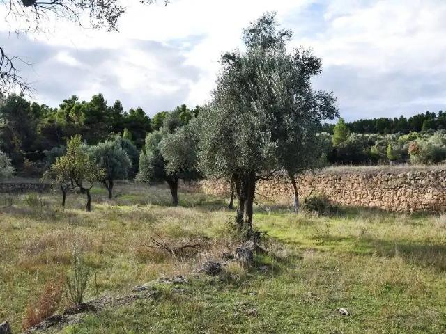 Finca en venta en Matarraña / Matarranya, Valderrobres