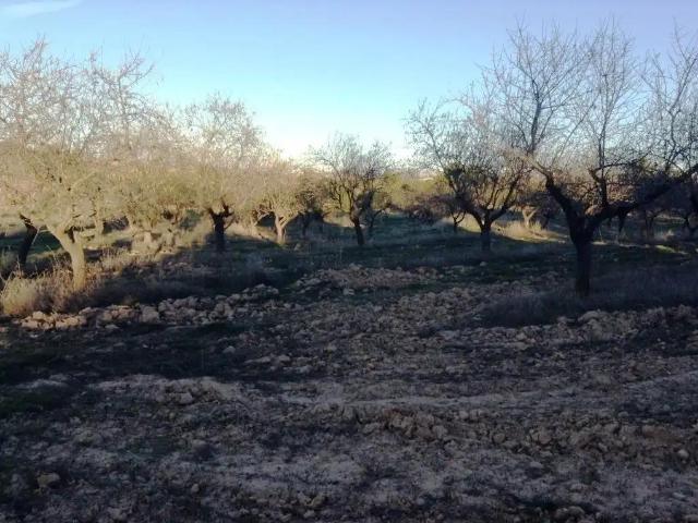 Finca en venta en Matarraña / Matarranya, Valderrobres
