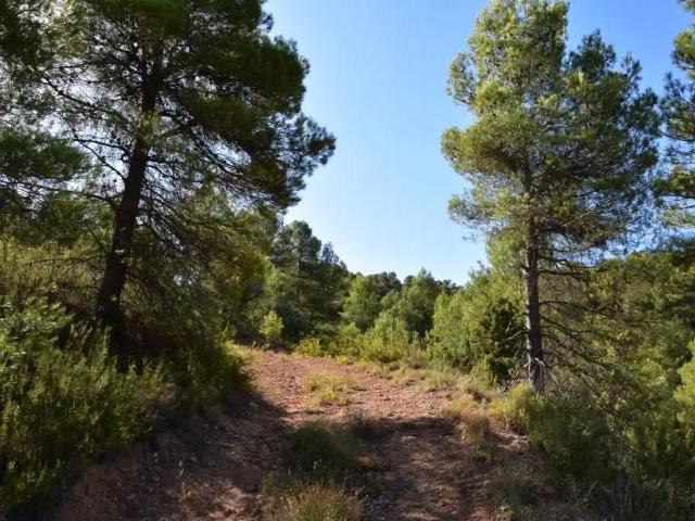 Finca en venta en Valderrobres / Vall de Roures, Matarraña / Matarranya