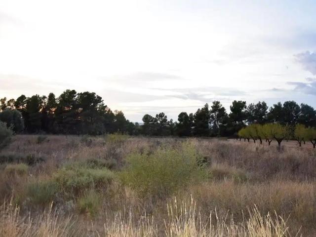 Finca en venta en Valderrobres / Vall de Roures, Matarraña / Matarranya