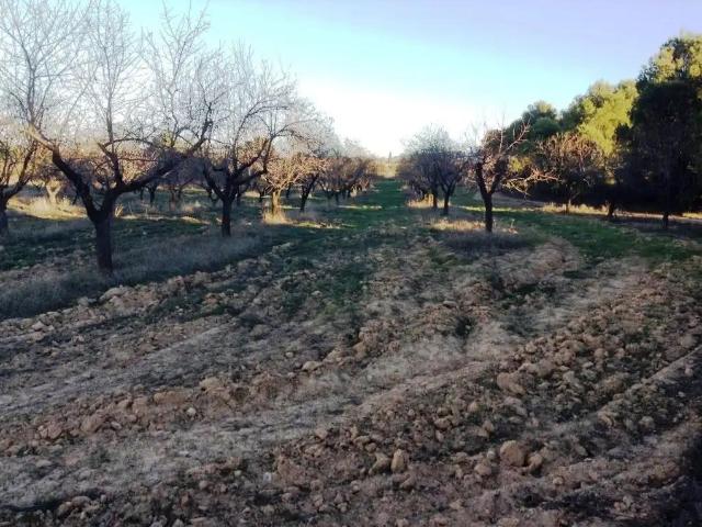 Finca en venta en Valderrobres / Vall de Roures, Matarraña / Matarranya