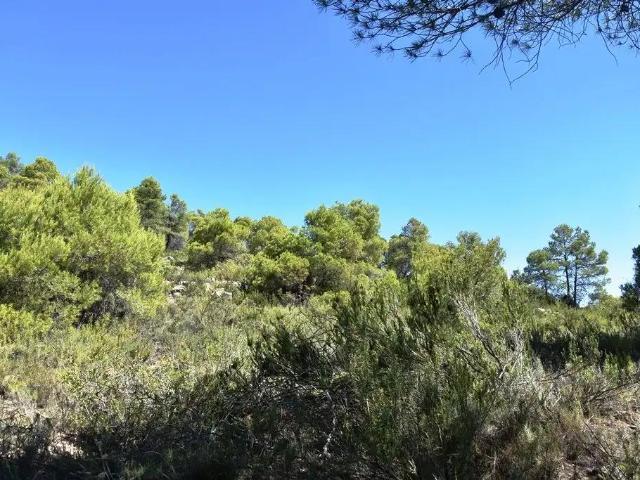 Finca en venta en Matarraña / Matarranya, Valderrobres
