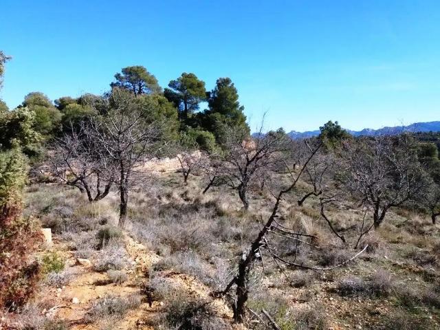 Finca en venta en Matarraña / Matarranya, Valderrobres