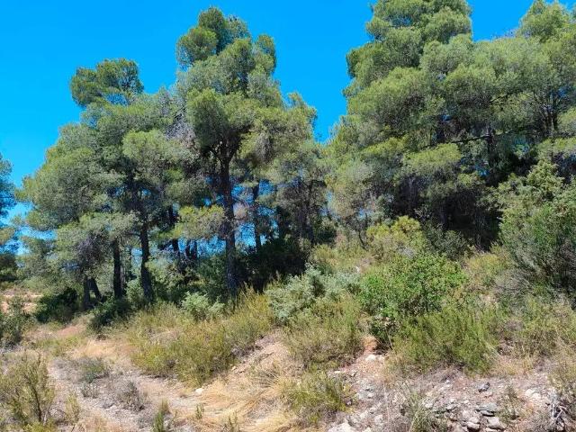 Finca en venta en Matarraña / Matarranya, Valderrobres