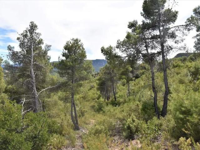 Finca en venta en Matarraña / Matarranya, Valderrobres