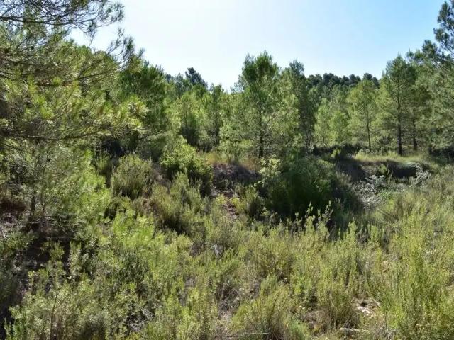 Finca en venta en Matarraña / Matarranya, Valderrobres
