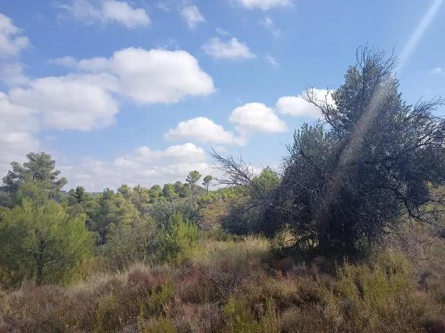Finca en venta en Matarraña / Matarranya, Valderrobres