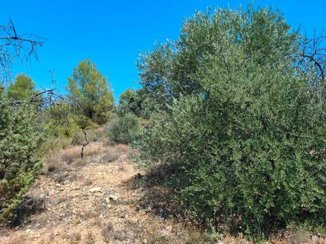 Finca en venta en Matarraña / Matarranya, Valderrobres