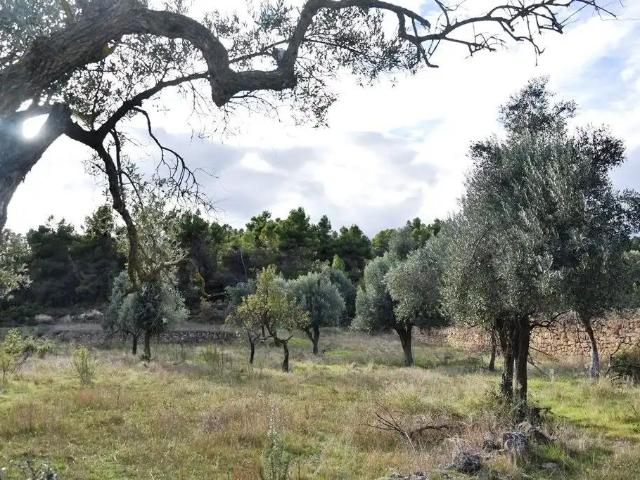 Finca en venta en Matarraña / Matarranya, Valderrobres