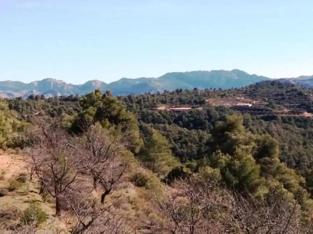 Finca en venta en Matarraña / Matarranya, Valderrobres