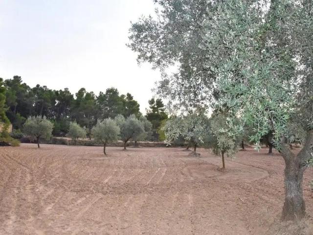 Finca en venta en Matarraña / Matarranya, Valderrobres
