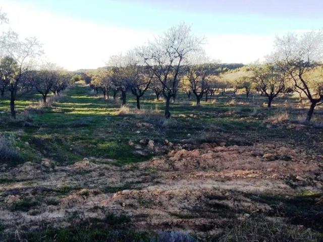 Finca en venta en Matarraña / Matarranya, Valderrobres