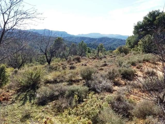Finca en venta en Matarraña / Matarranya, Valderrobres