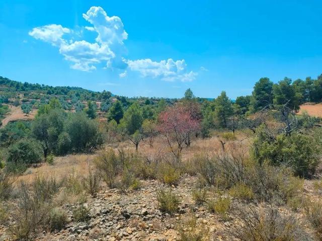Finca en venta en Matarraña / Matarranya, Valderrobres