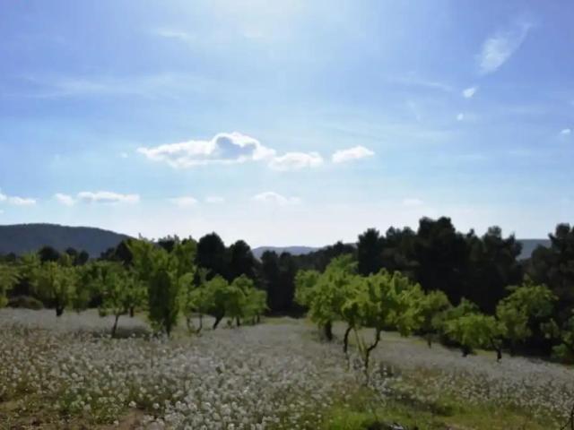 Finca en venta en Matarraña / Matarranya, Valderrobres