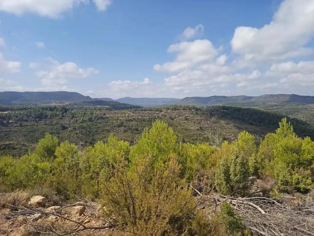 Finca en venta en Matarraña / Matarranya, Valderrobres