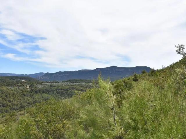 Finca en venta en Matarraña / Matarranya, Valderrobres