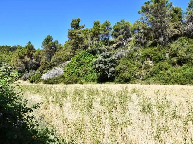 Finca en venta en Matarraña / Matarranya, Valderrobres