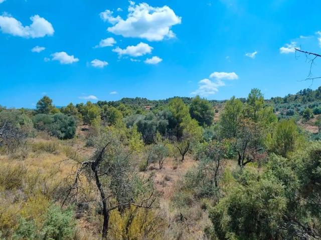 Finca en venta en Matarraña / Matarranya, Valderrobres