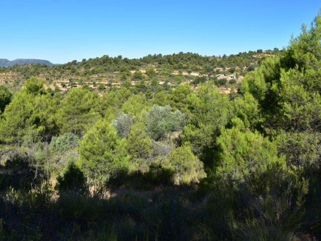 Finca en venta en Valderrobres, Teruel
